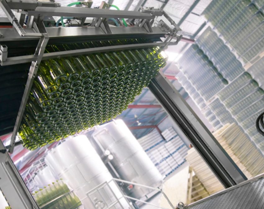 Dépaletitseur  Baby-Depal